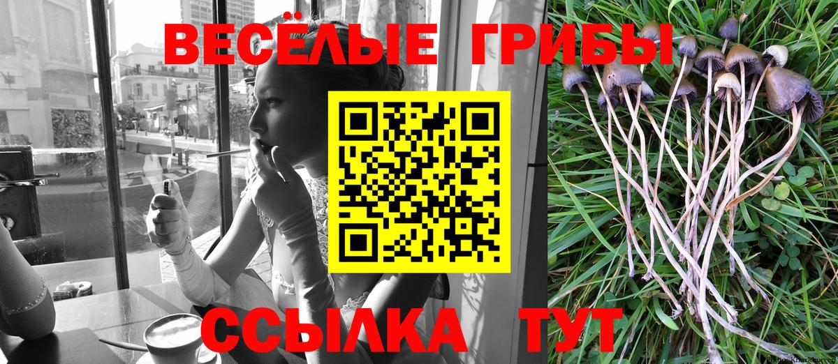 Псилоцибиновые грибы GOLDEN TEACHER Краснознаменск