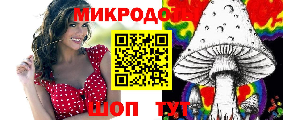 купить   Вход с VPN  Краснознаменск  Псилоцибиновые грибы GOLDEN TEACHER  Галлюциногенные грибы мицелий 
